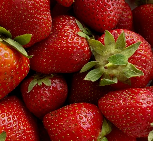 Micronutrition et santé cellulaire : Un gros plan sur des fraises fraîches, symbolisant l'apport naturel en antioxydants, vitamines et polyphénols essentiels à la vitalité et à la lutte contre le vieillissement cutané.